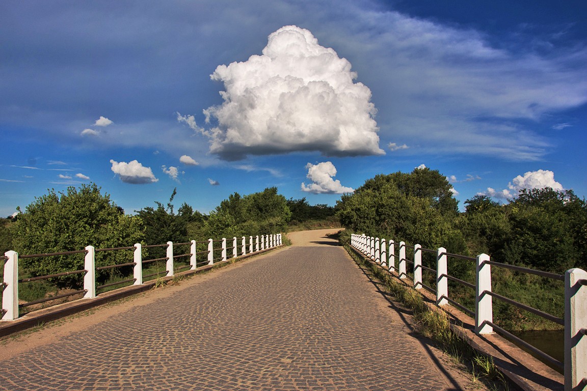 "nube" de Gustavo Melica