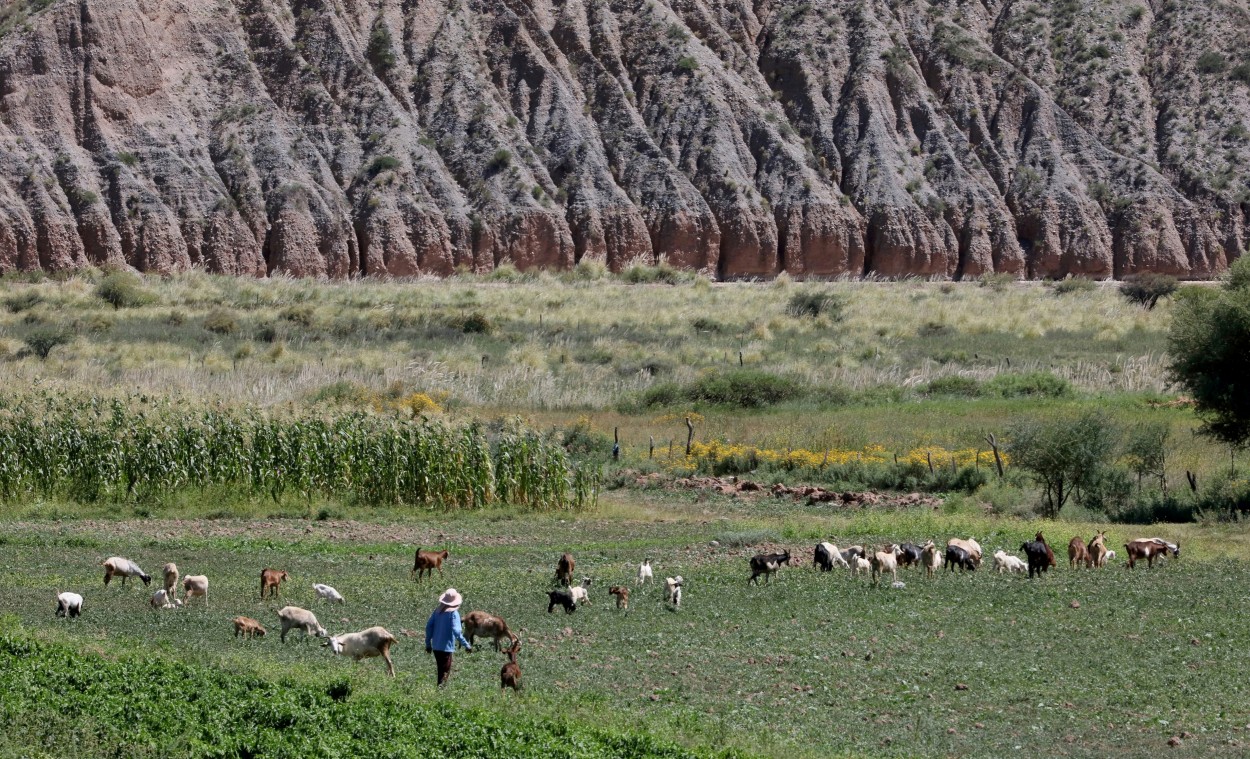 "El pastor de cabras." de Francisco Luis Azpiroz Costa