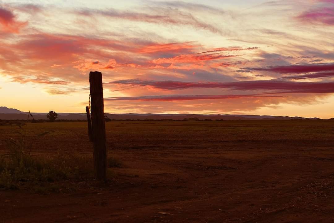 "El Ocaso" de Ernesto Emilio Suarez