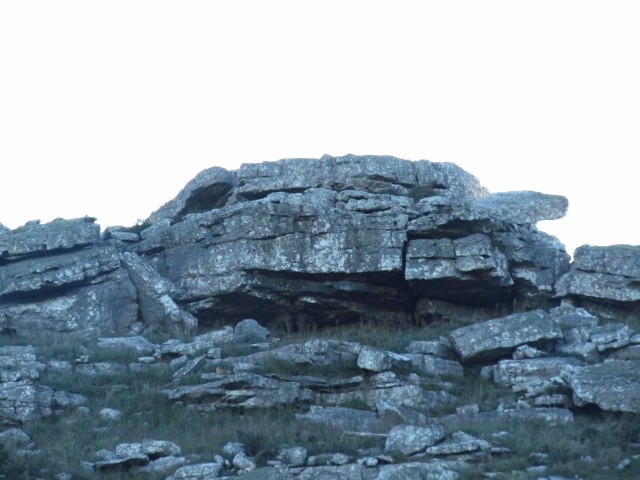 "La tortuga de piedra" de Miguel Angel Palermo