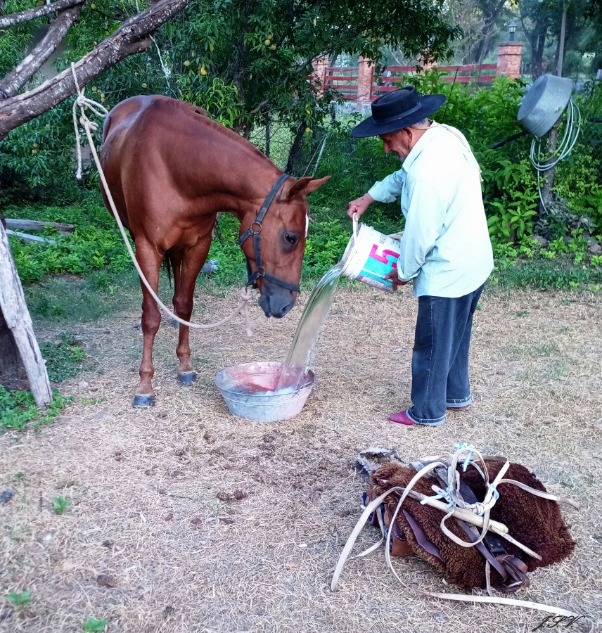 "Agua fresca" de Jorge Vargas