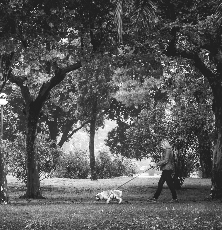 "El paseo de todos los dias" de Fernando Valdez Vazquez