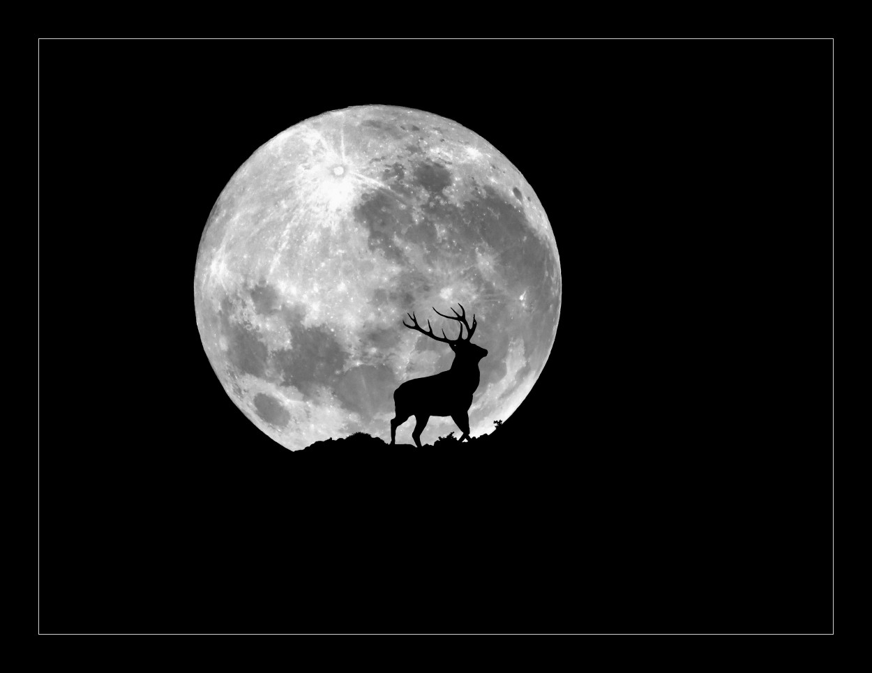 "Brama el ciervo, brilla la Luna" de Alejandro del Valle
