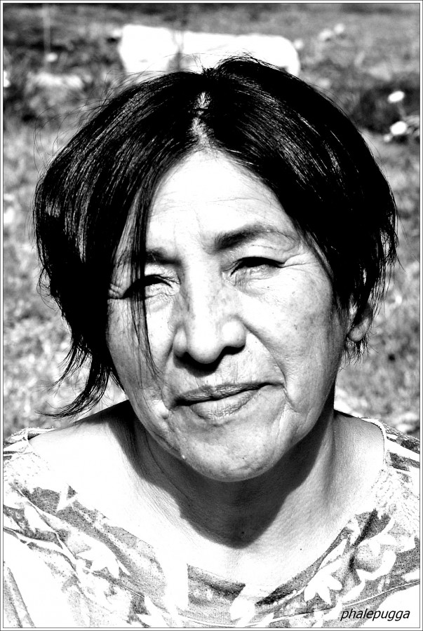 "Anahi ,legado mapuche" de Alejandra Puga Gonzalez