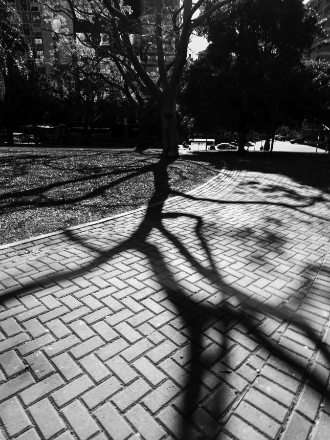 "Shadows" de Beatriz Neto
