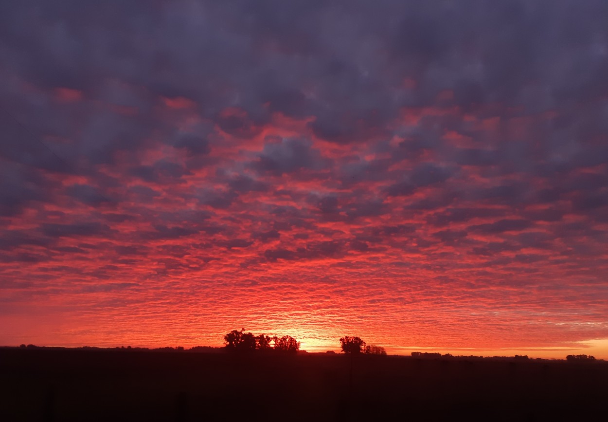 "Belleza atardecer" de Sandra Beatriz Lucero