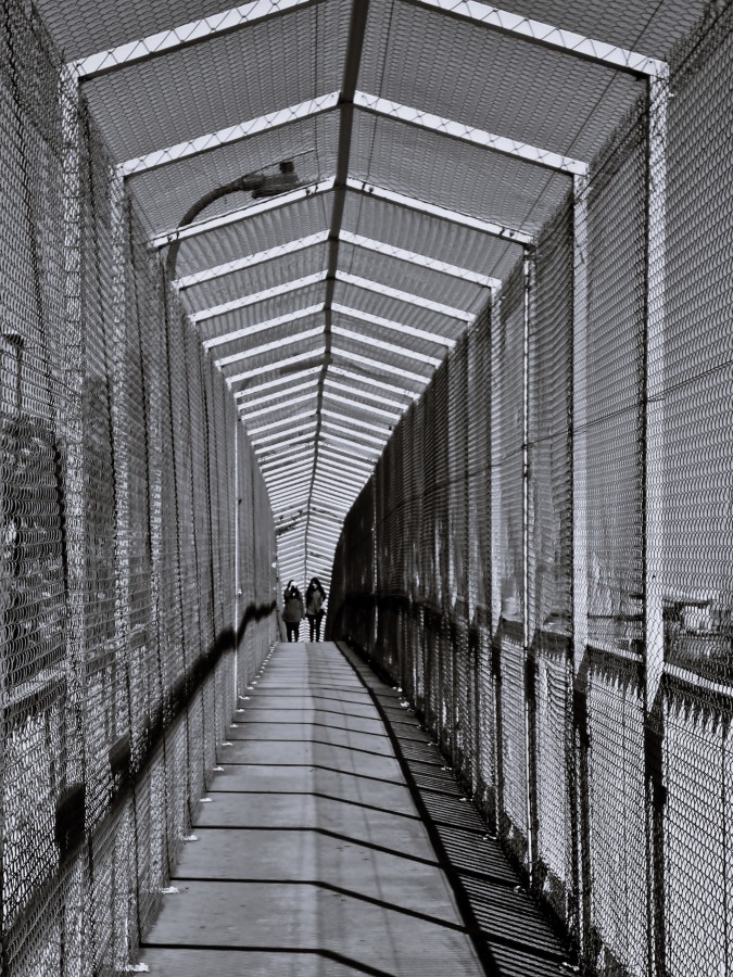 "Puente peatonal" de Americo Rosa Pombinho