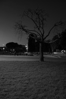 Noche en el parque