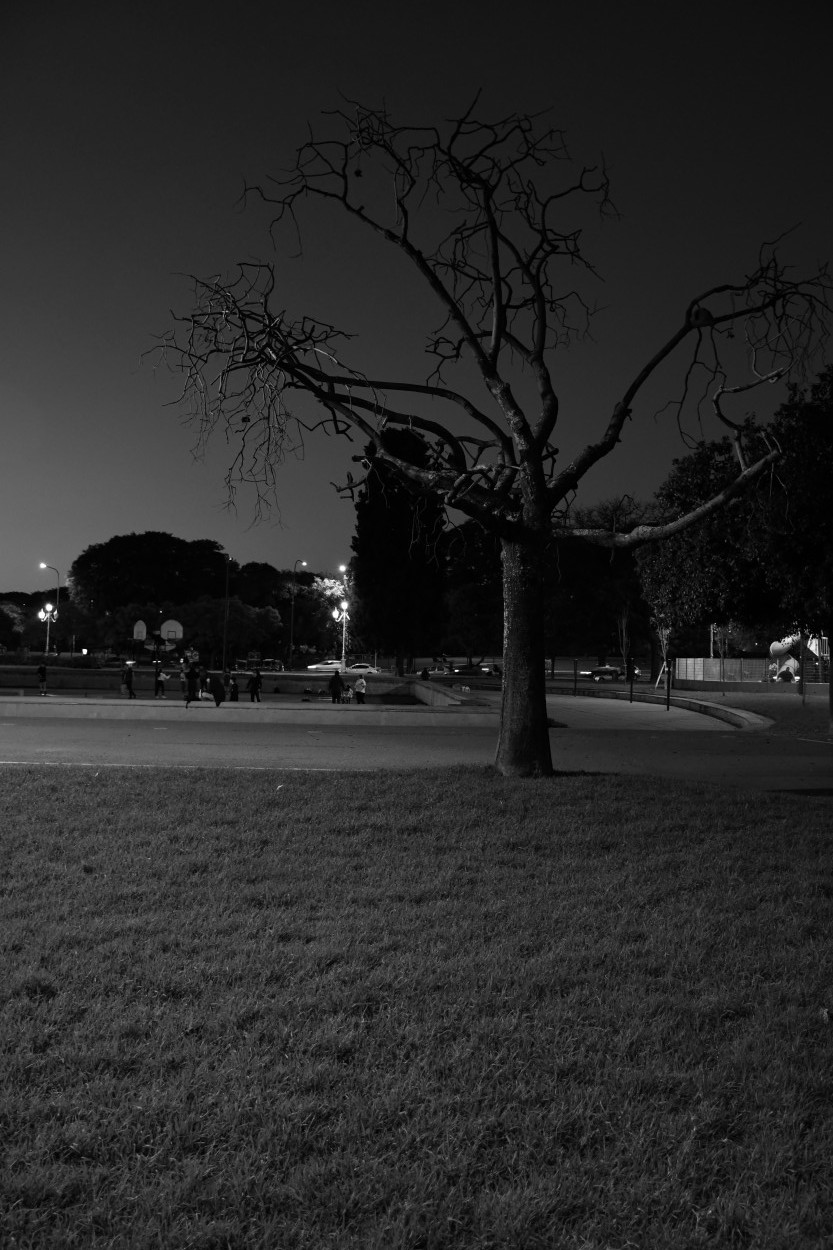 FotoRevista / Jose Charles Mengeon / Noche en el parque