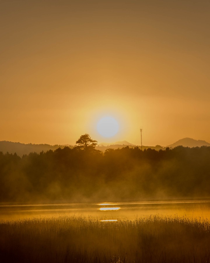 "lago" de Gustavo Melica