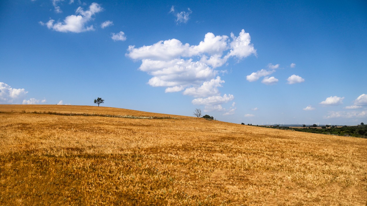 "Vista rural" de Juan Carlos Barilari