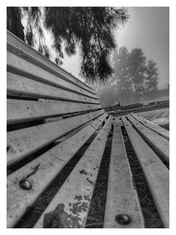 "Niebla y descanso." de Jorge Carlos Tarditi (carlos)