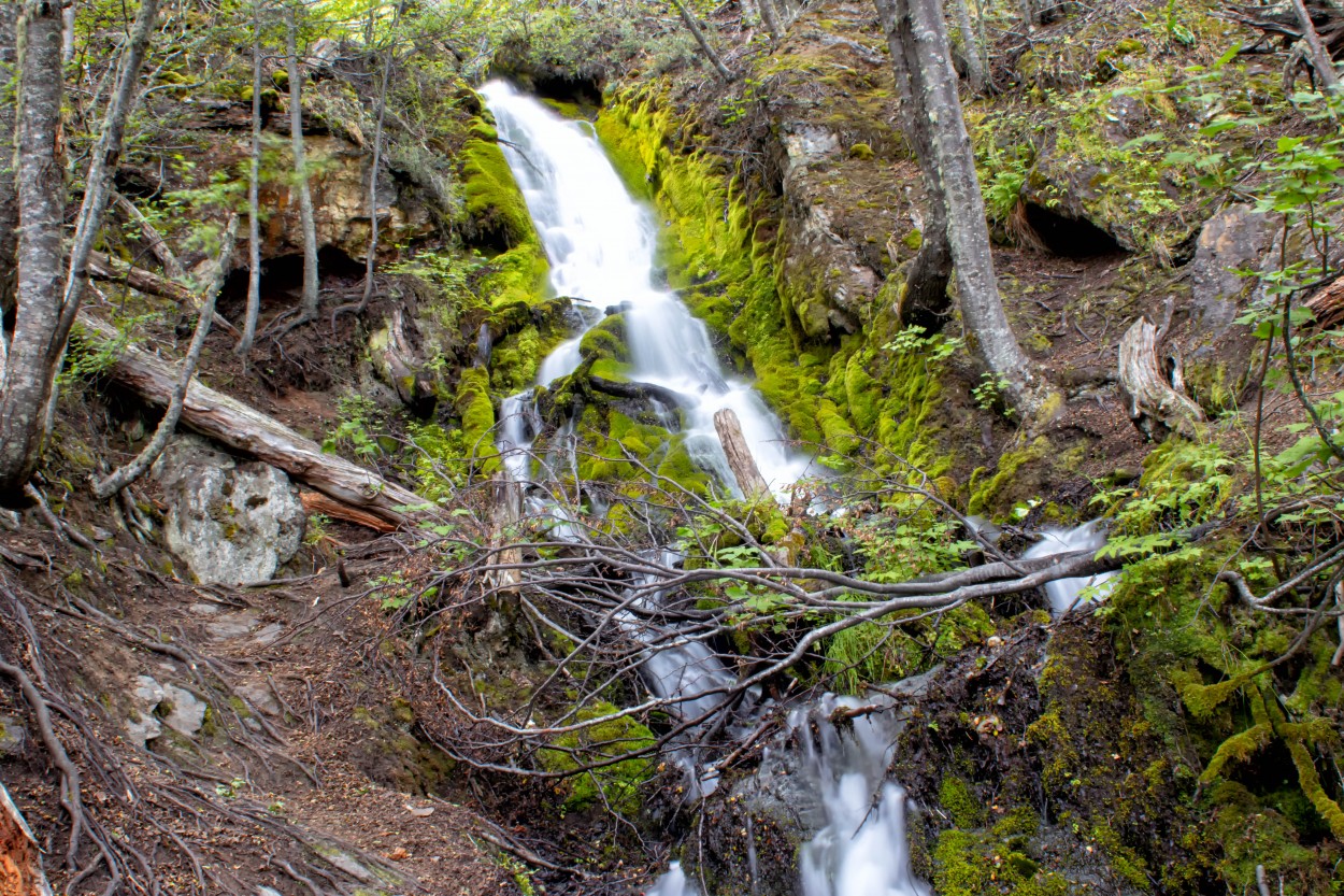 "cascada de seda" de Esteban Catuc