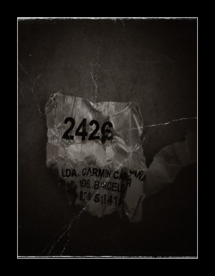 "2426" de Carmen Esteban