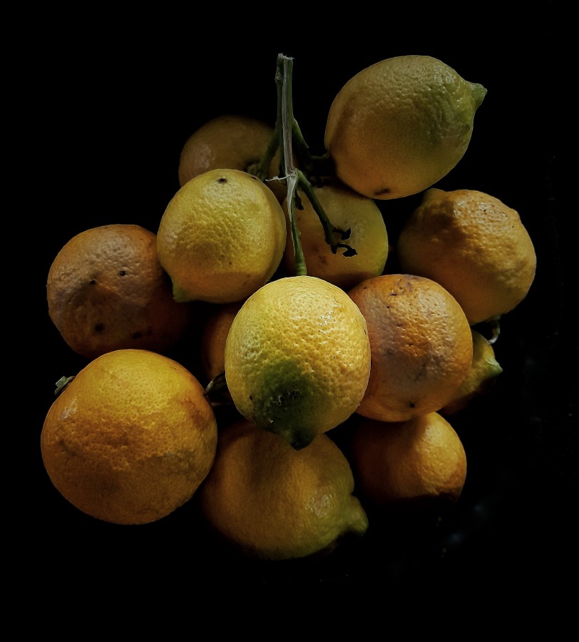 "Racimo de limones" de Roberto Guillermo Hagemann