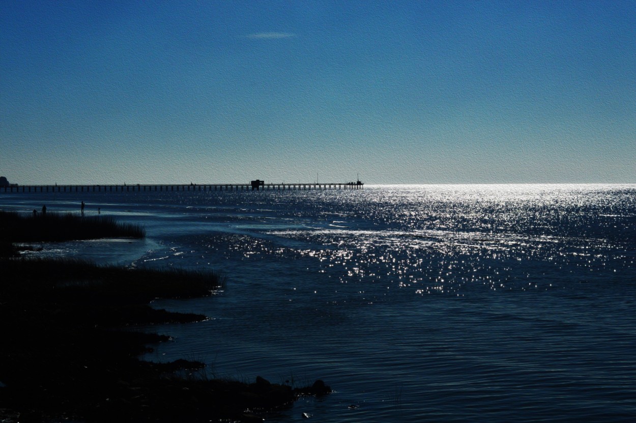 "Contraluz en el Rio de La Plata" de Elisabet Monica Saint Andre ( Moni )