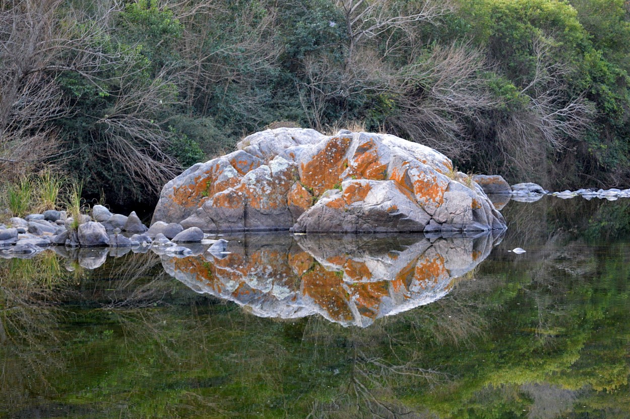 "reflejos en el ro" de Marcos Pedro Escudero