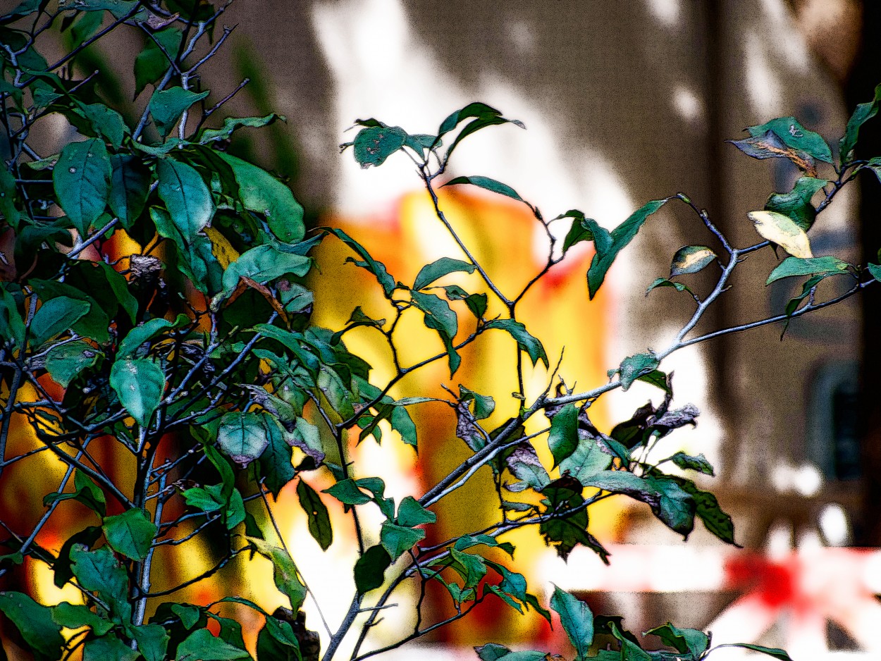 "Jardines de Catalinas Sur" de Cristina Wnetrzak