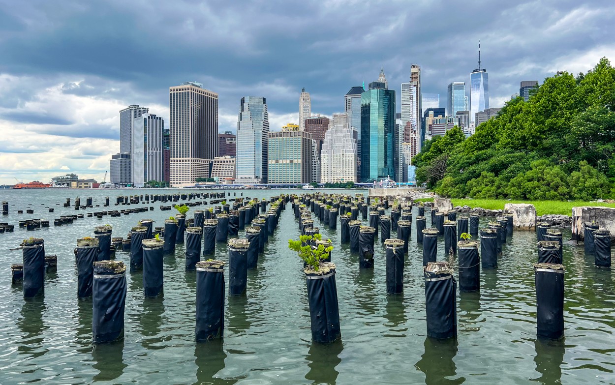 "Manhattan desde el High Brooklyn" de Luis Alberto Bellini