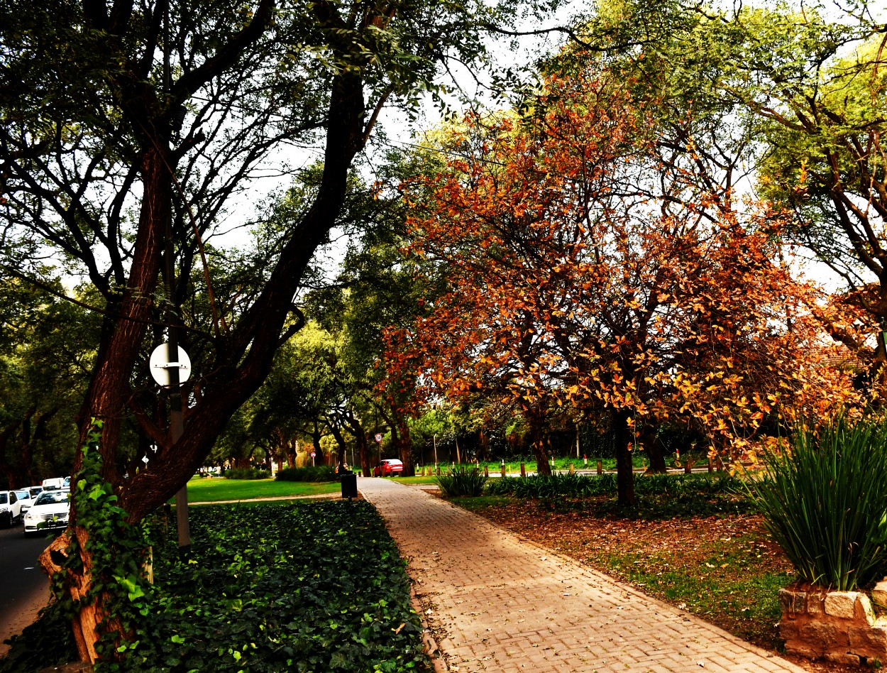 "El diferente en el parque" de Jose Charles Mengeon