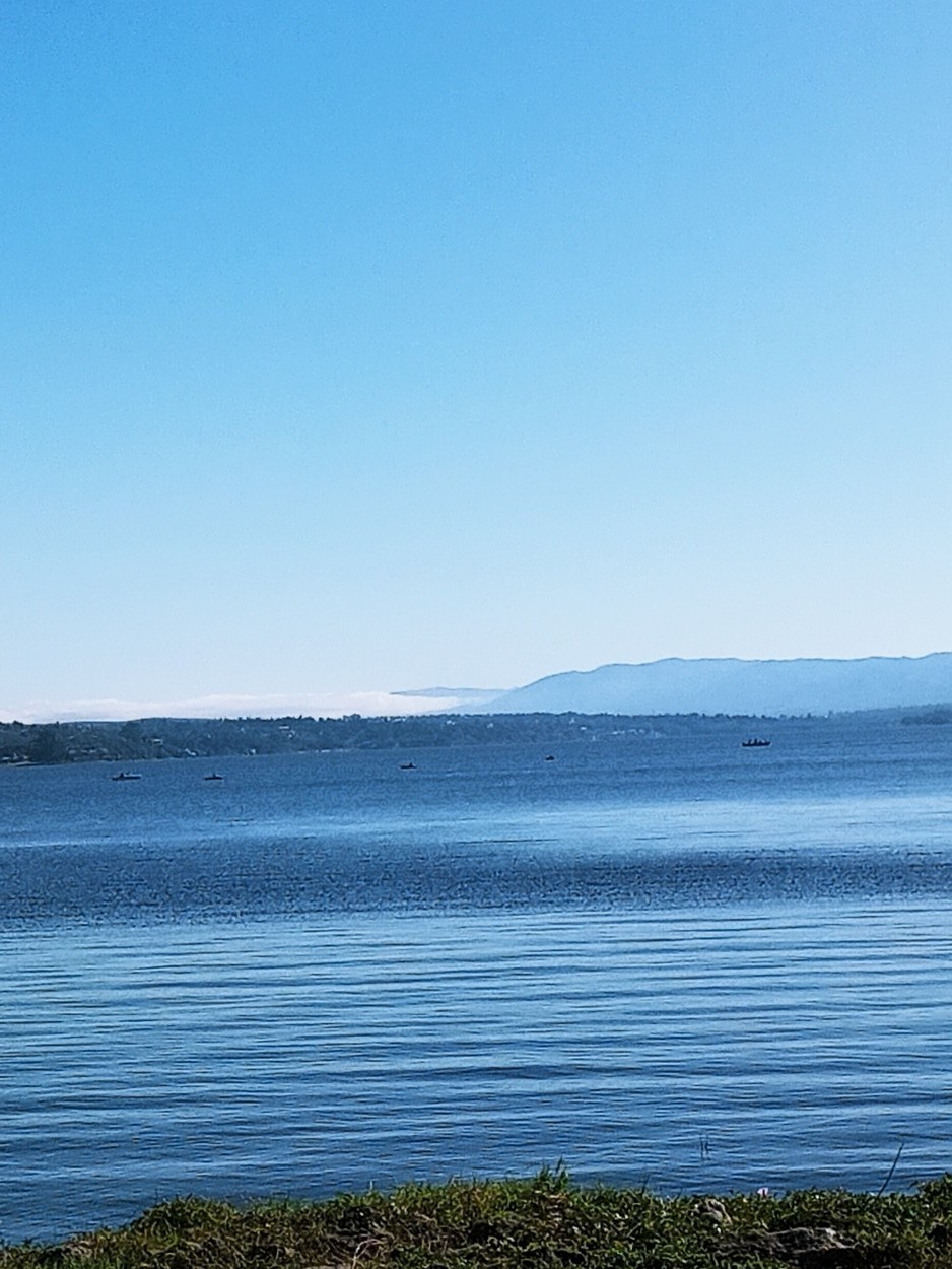 "Lago San Roque Roque" de Susana Valentinuz