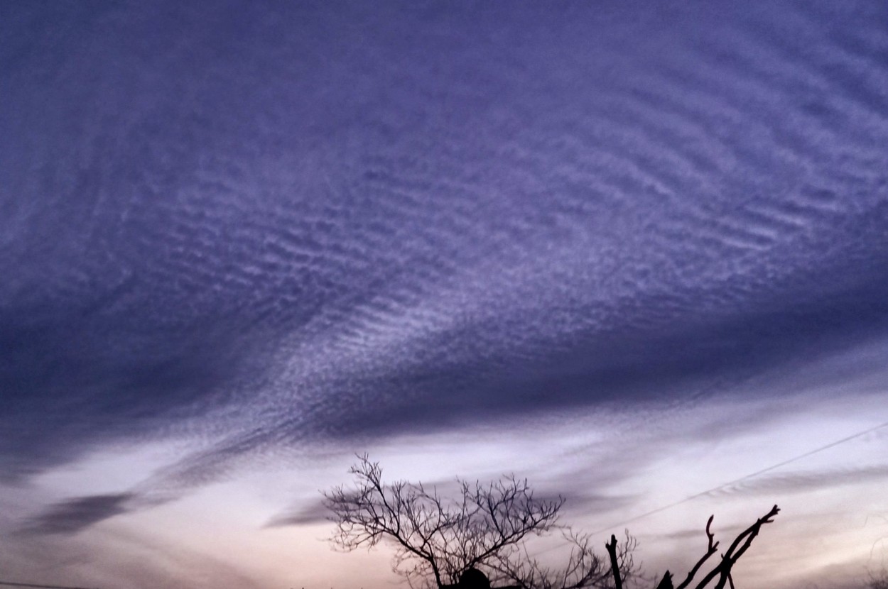 "Mar en cielo" de Patricia Sallete