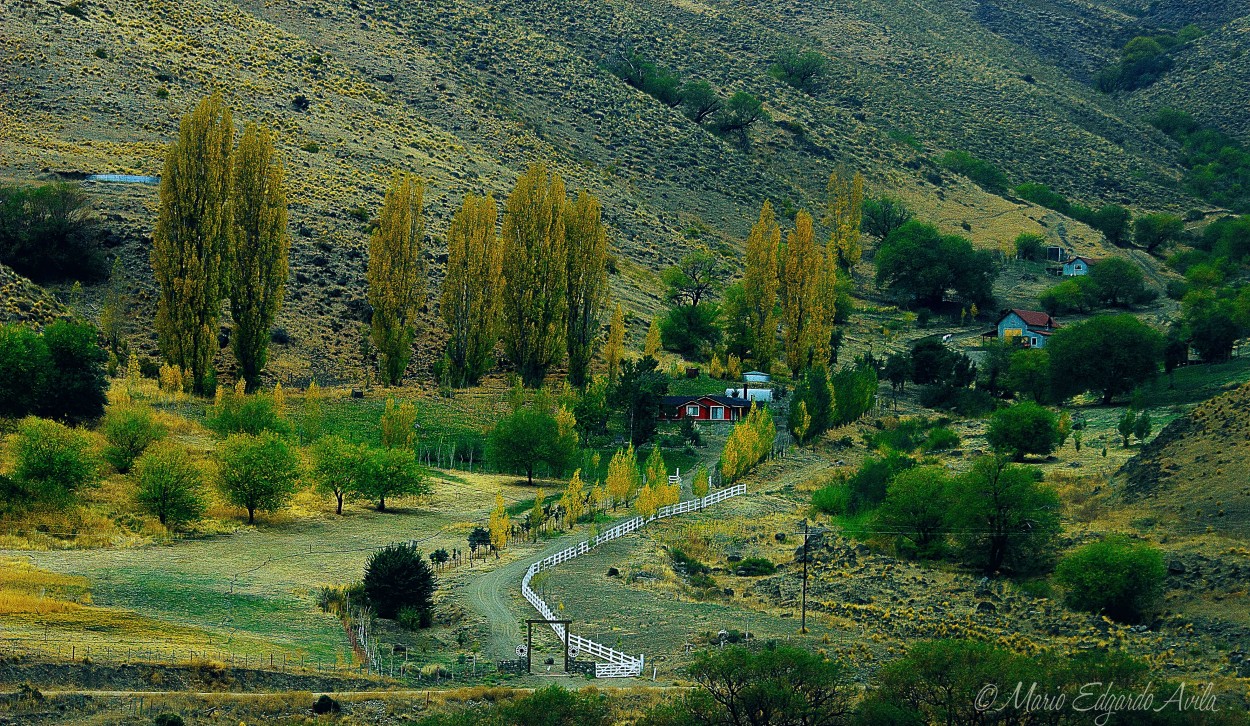 "CAMINO A ALUMINE" de Mario Edgardo Avila