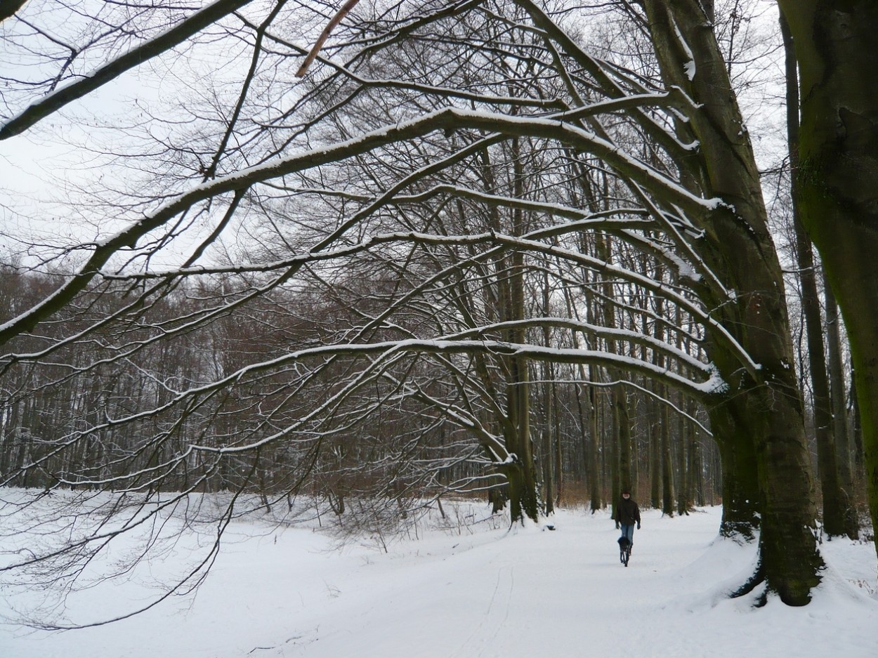 "Paseo de invierno" de Stefano Alimonti