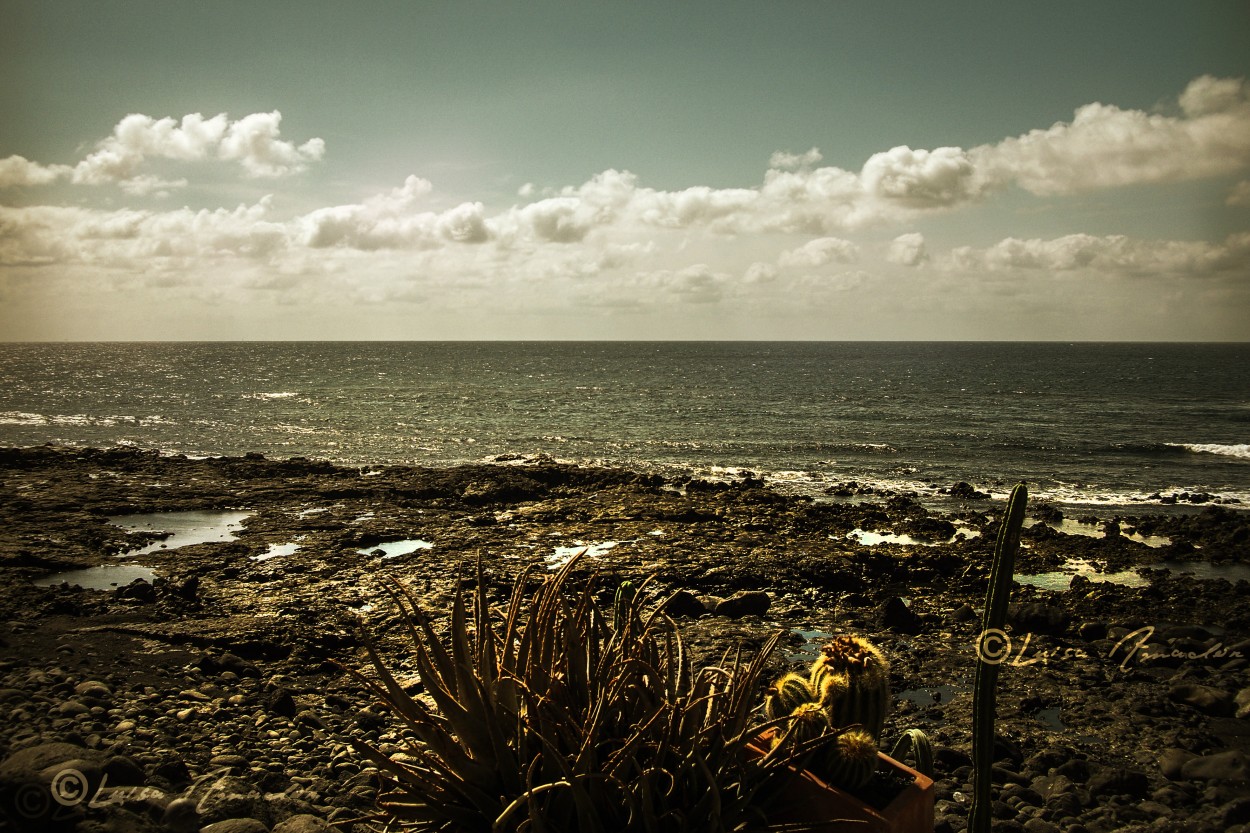 "Lanzarote" de Luisamaria Amador