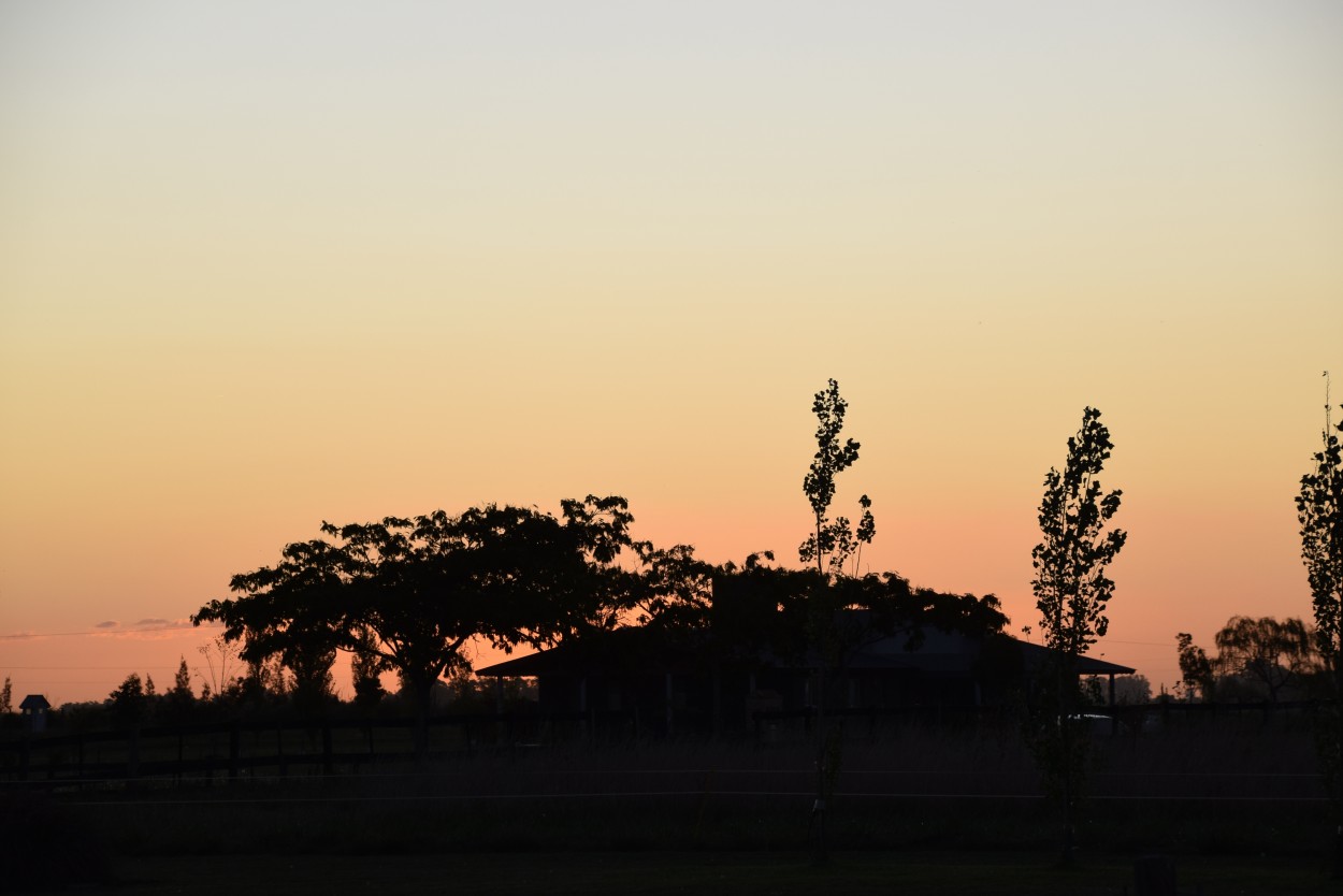 "Atardeceres campestres" de Rosana Malvicino