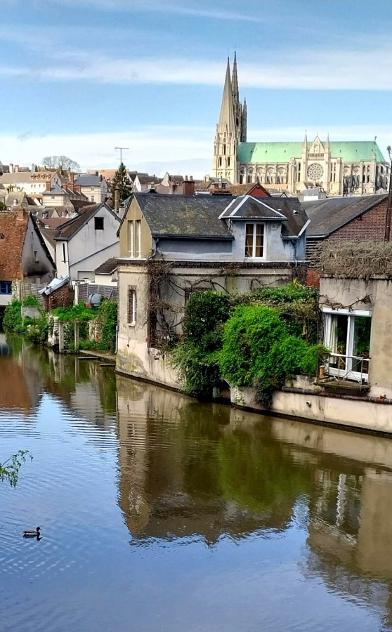 "El pato y la Catedral de Chartres" de Jos Luis Mansur