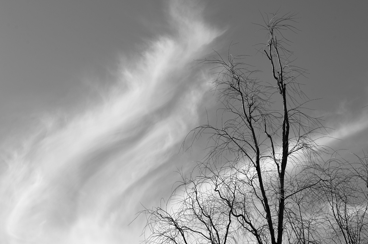 "baile con el cielo" de Marcos Pedro Escudero