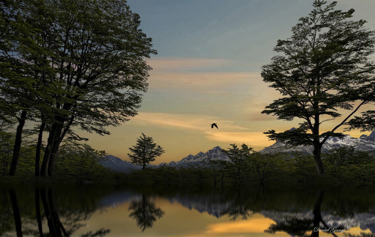 "Tierra del Fuego: belleza brutal...!" de Alberto Daniel Gangi