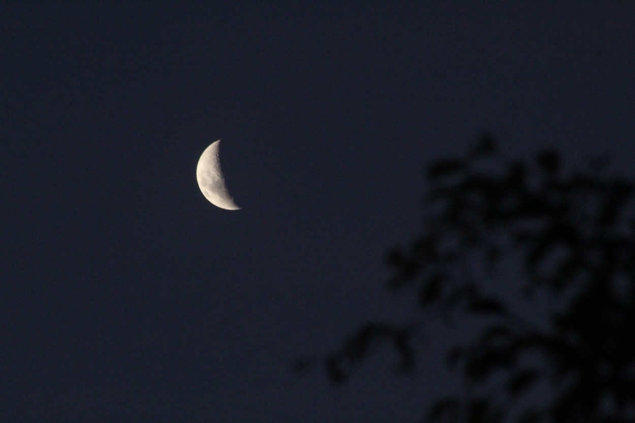 "Luna creciente" de Gerardo Mirkin