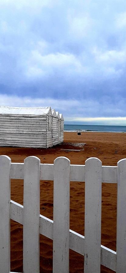 "Entrada al paraiso" de Juan Carlos Viegas