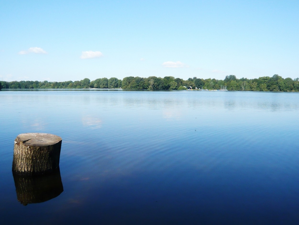 "Lago" de Stefano Alimonti