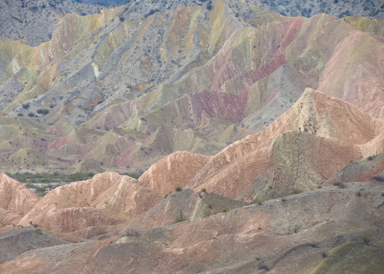 "Los colores de la tierra" de Juan P. Nemec