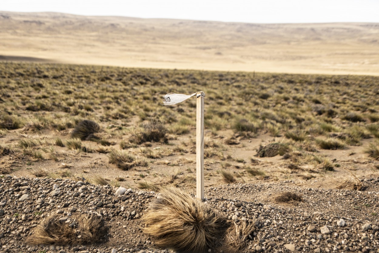 "Viento patagnico" de Rafa Lanuza