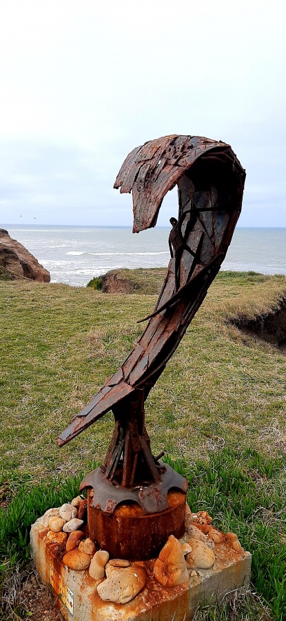 "El Surfista" de Juan Carlos Viegas