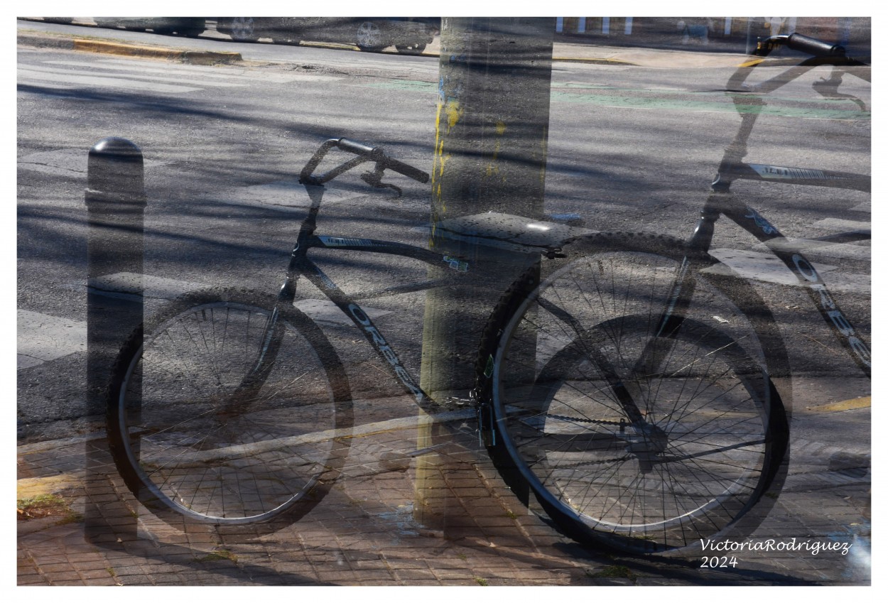 "La bici" de Victoria Elisa Rodriguez