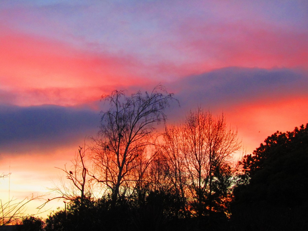 "Amanecer de colores " de Miguel Angel Palermo