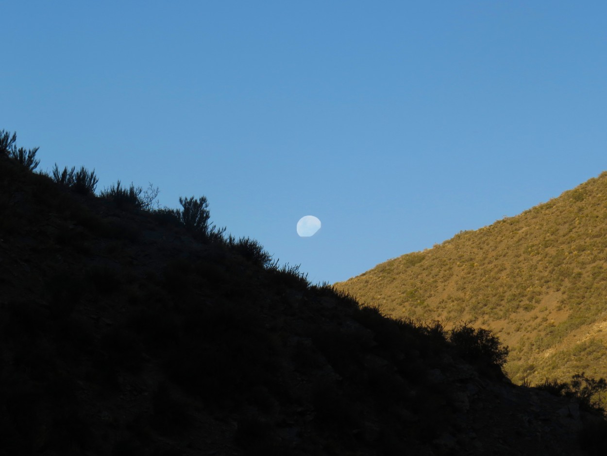 "`La luna, presente`" de Iris Elizabeth Scotto