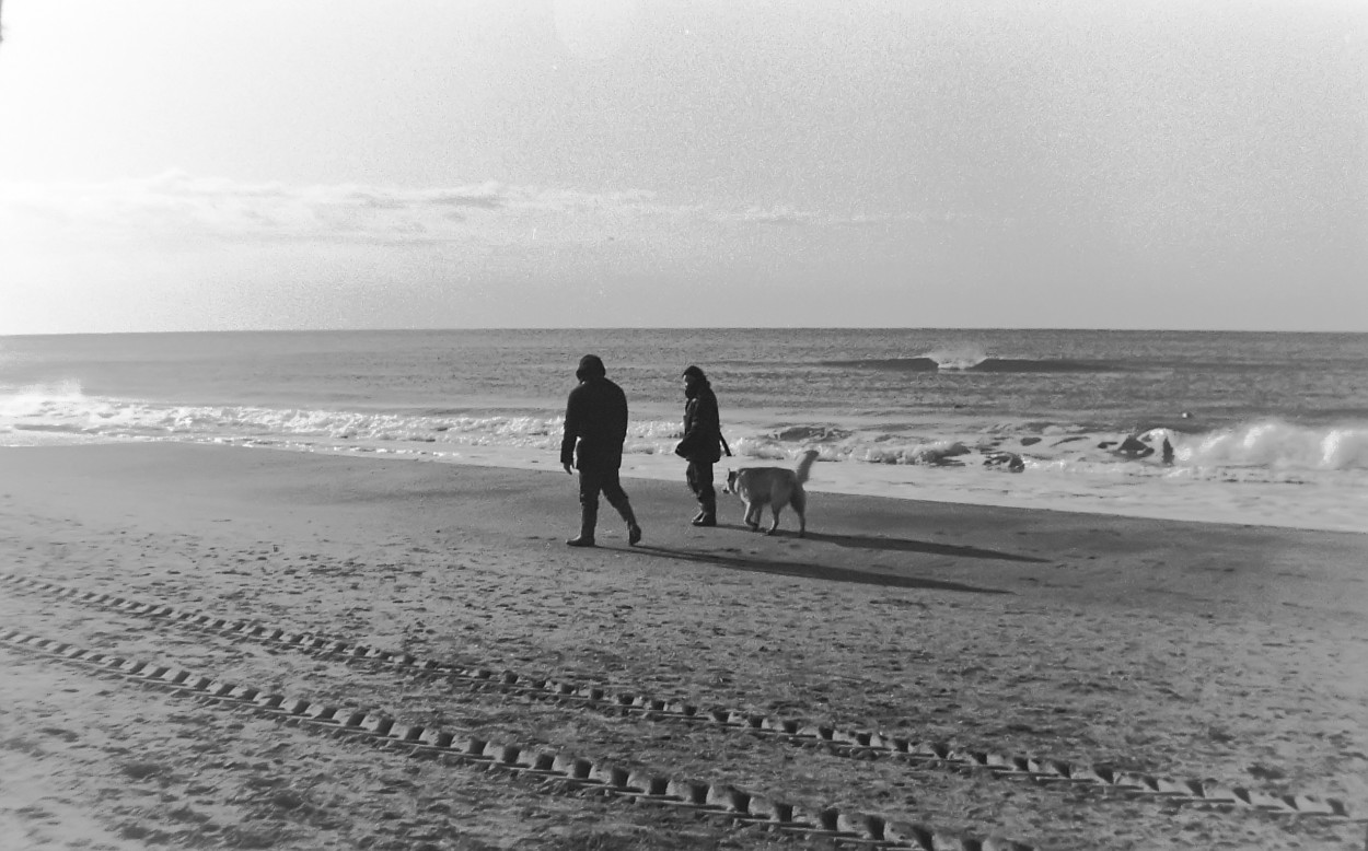 "Mar de invierno" de Stefano Alimonti