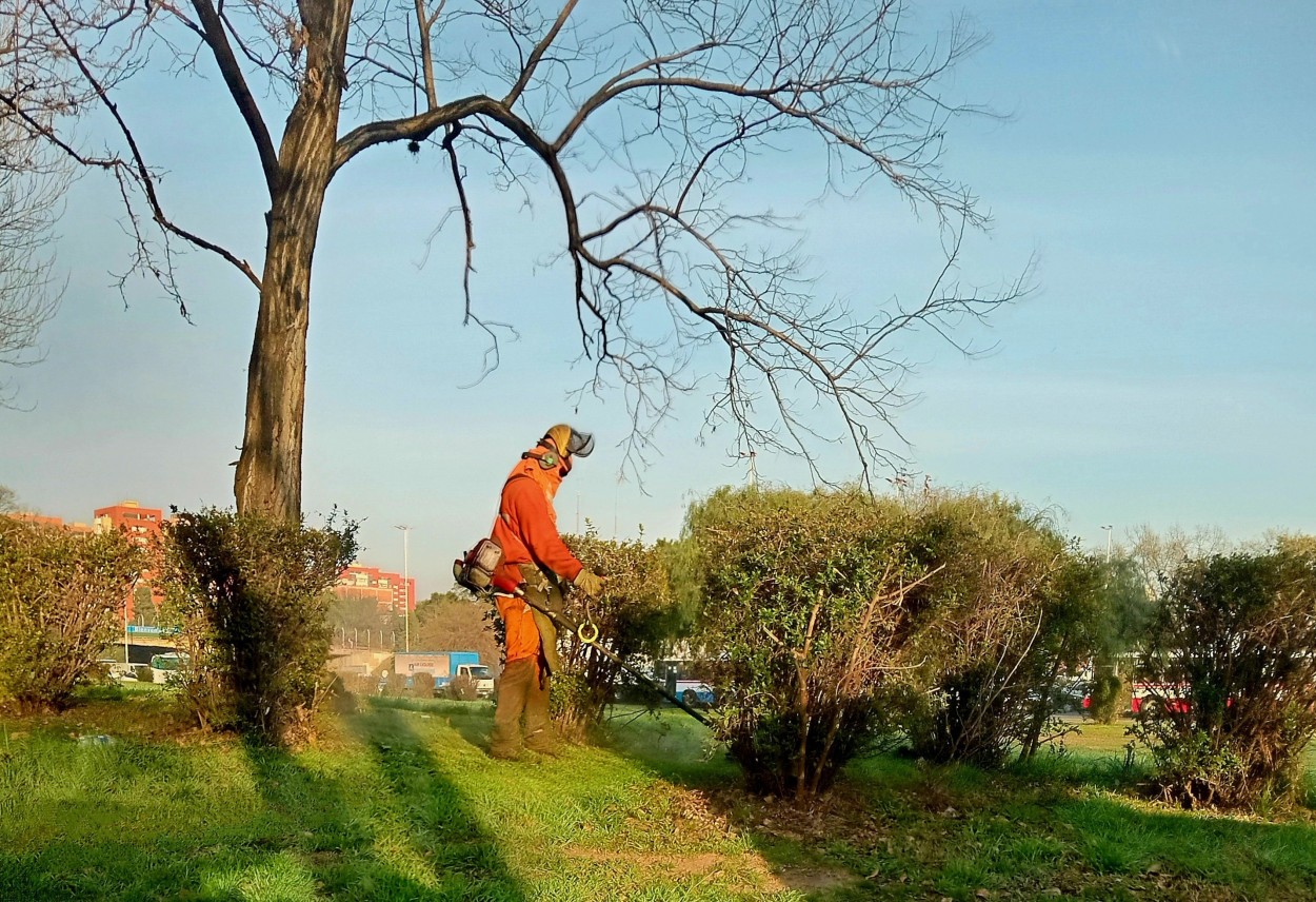 "El jardinero" de Americo Rosa Pombinho