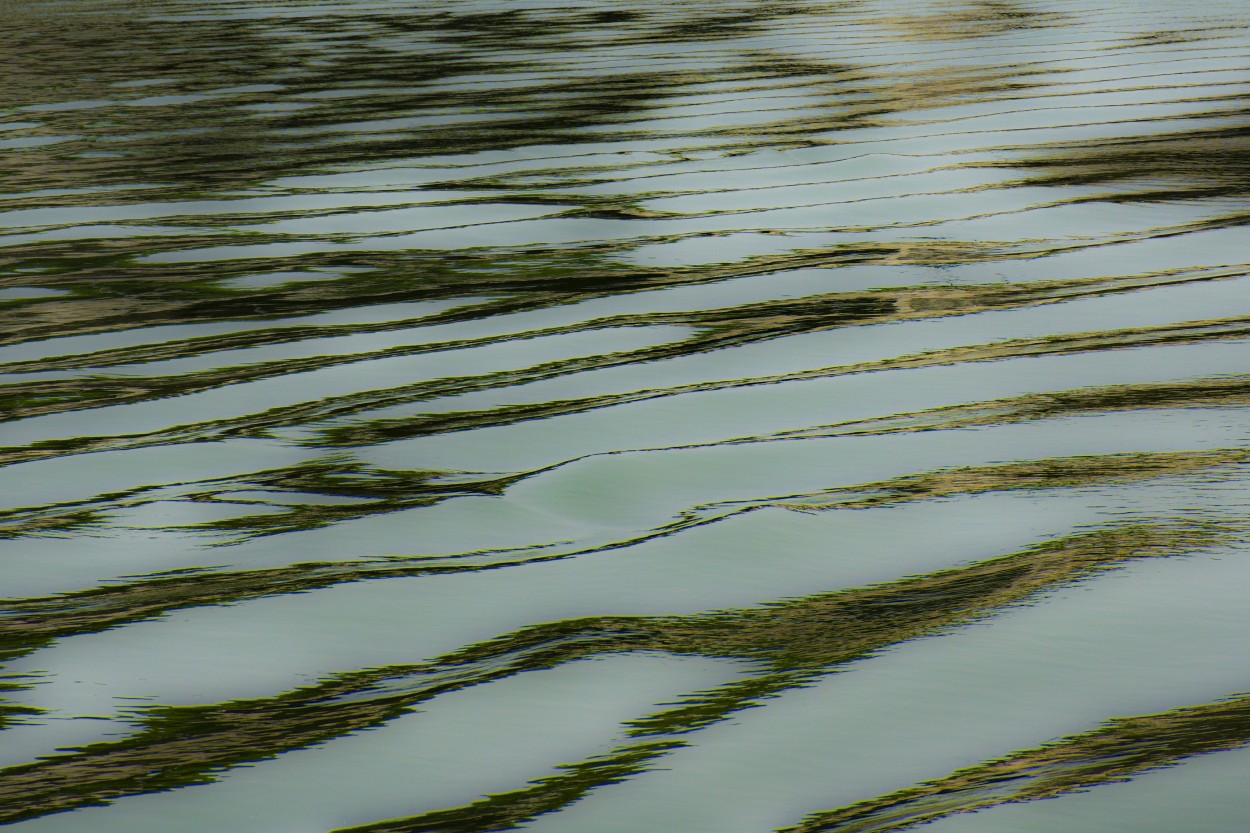 "Agua texturada" de Daniel Oliveros