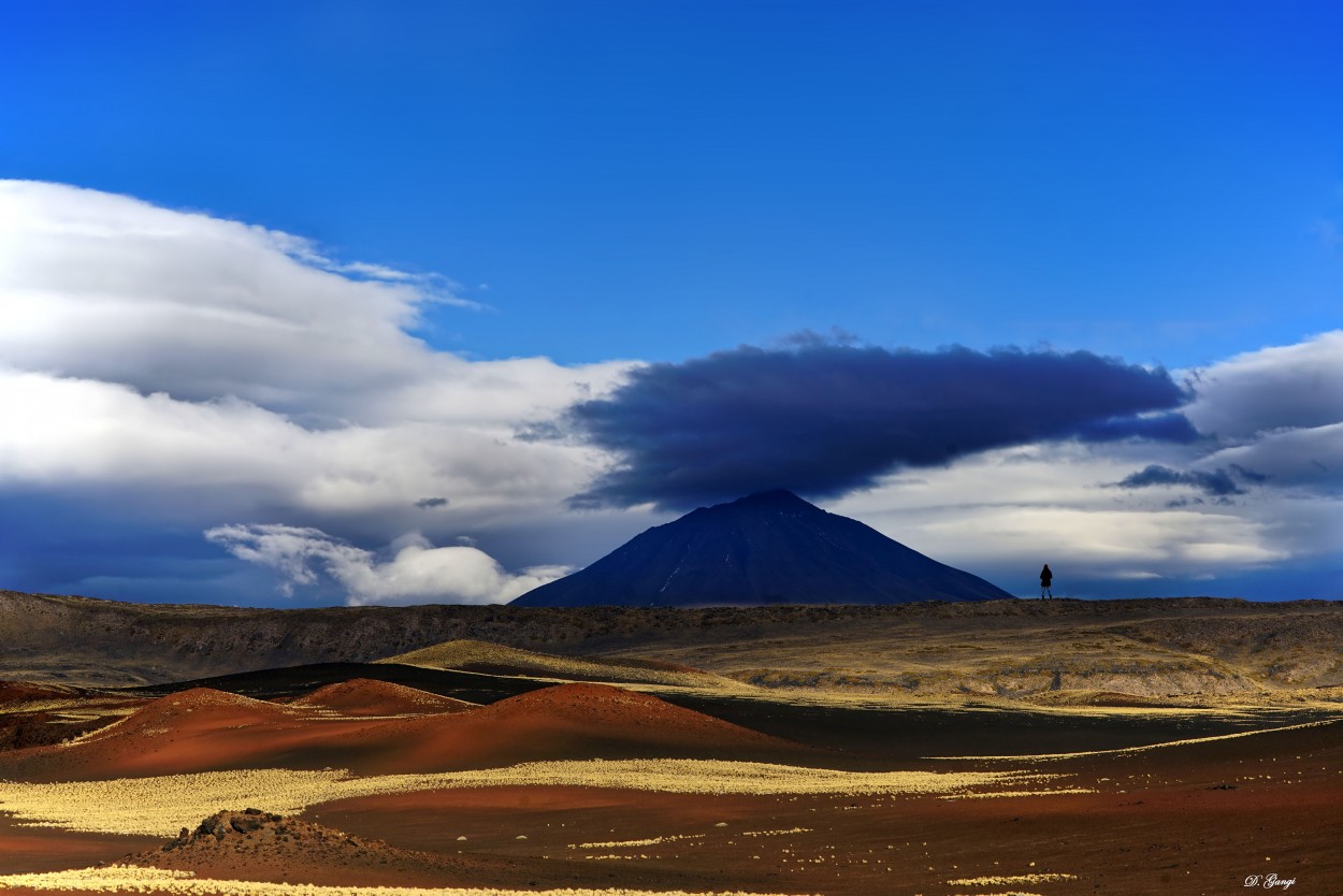 "parque nacional `La Payunia`/Mendoza" de Alberto Daniel Gangi