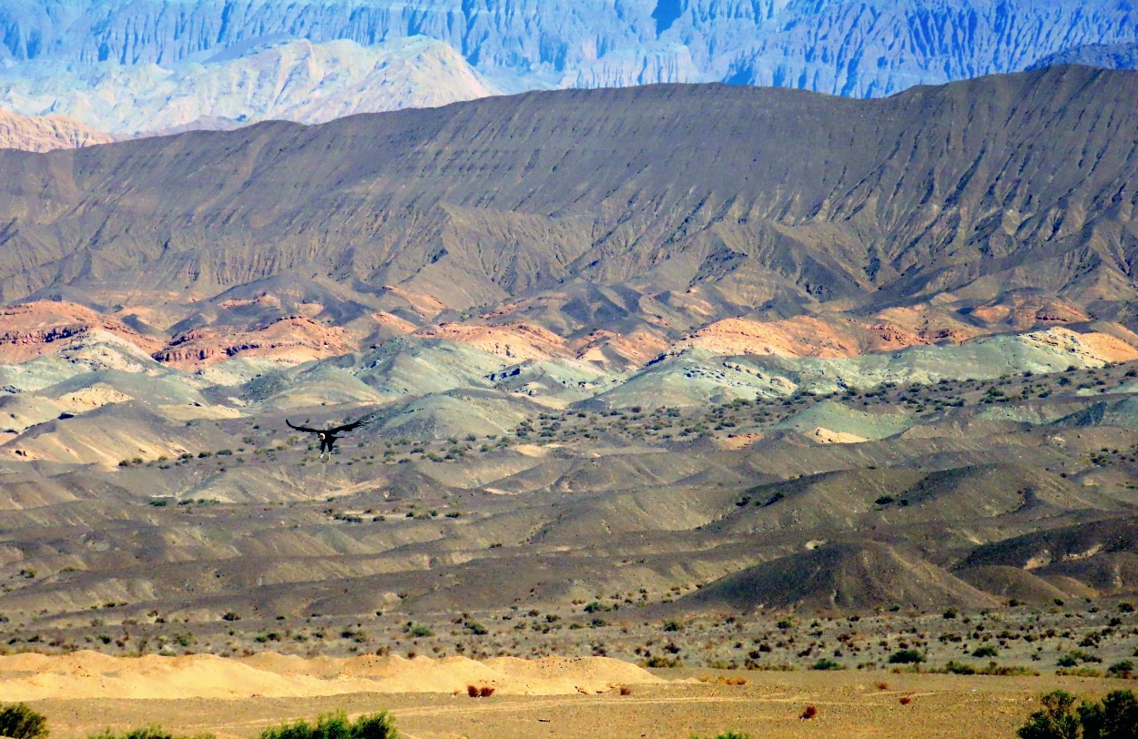 "El cndor baja" de Alejandro del Valle