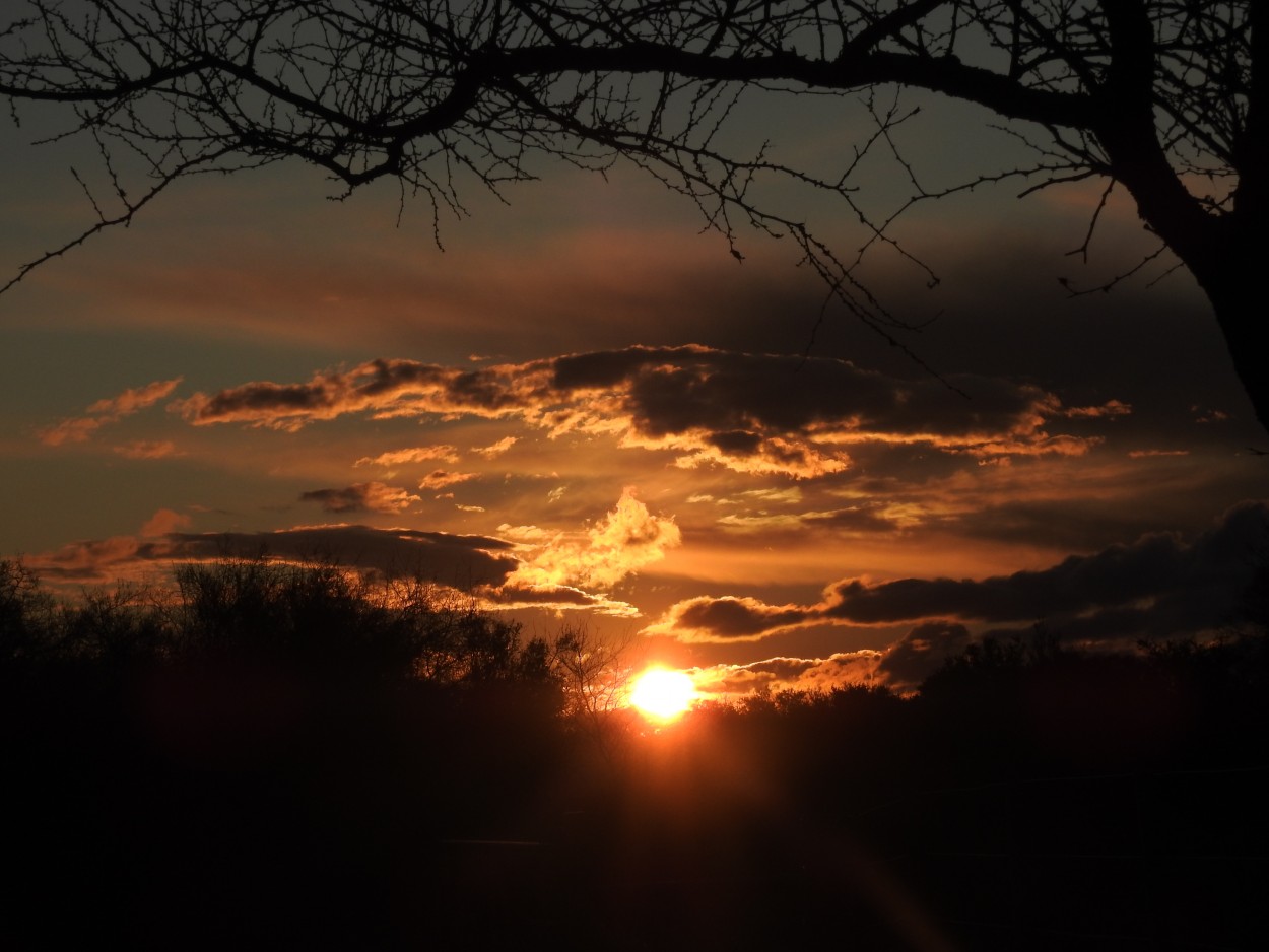 "El ocaso de los dioses" de Eduardo Torramorell