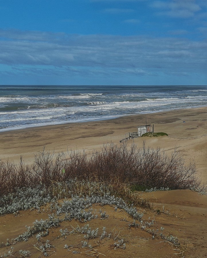 "Monet, desde la duna" de Roberto Guillermo Hagemann