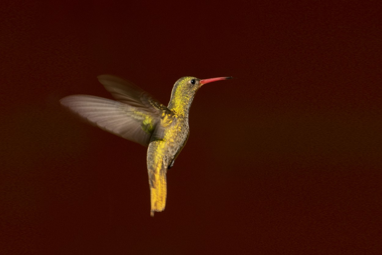 "En el aire" de Jos Maria Giallombardo